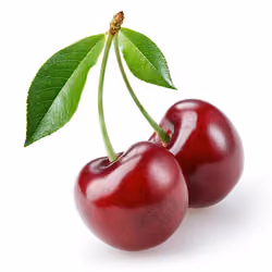 FRUITS