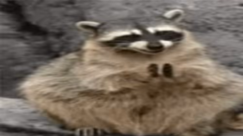 Item #107839786668602559178668060348078522694548577690162289924414440996865 Media