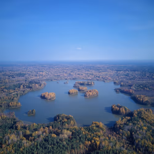 tutsy.lens-Collect-103