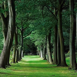 Park