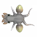 Defjnite