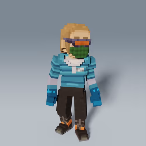 Item #493 Media