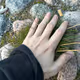speis.lens-Collect-424