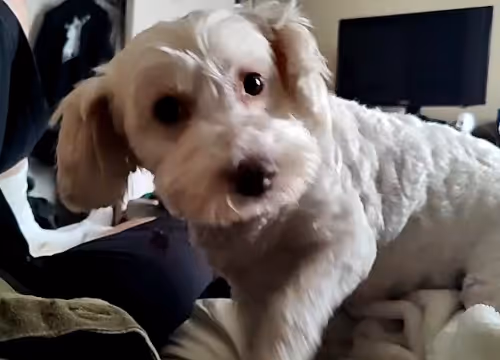 May May i have a yreat