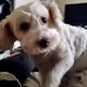 May May i have a yreat