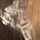 In Vapor