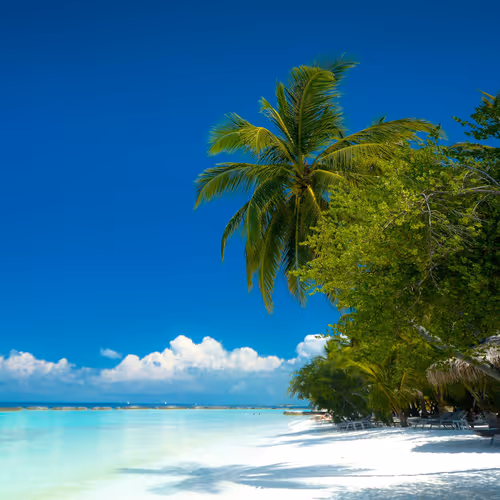 burn1.lens-Collect-204