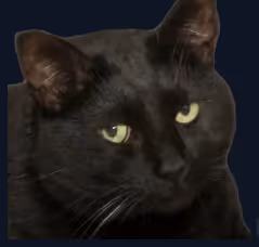Luci1