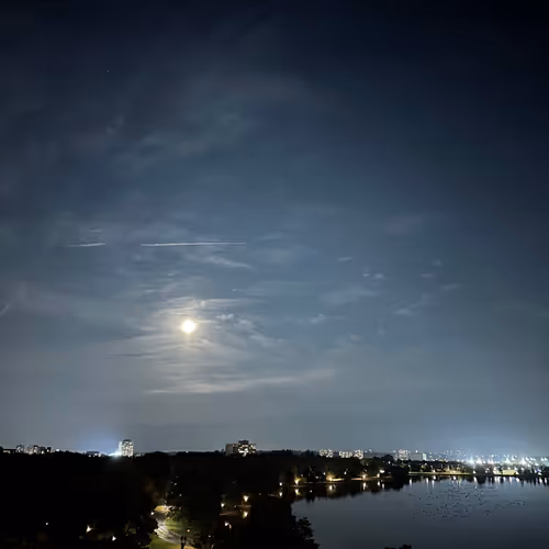 lanadingwall.lens-Collect-601