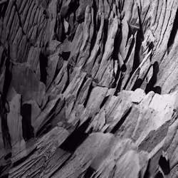 Espace réservé aux médias de l'article