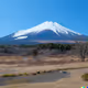FUJI san