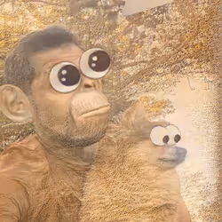 33296739070710136013243765166117054542811736970736272210757136269987224223745