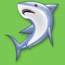 46963545957789559905095004763582092552438558729424532040353799772029138763777