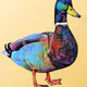 Rouven Duck