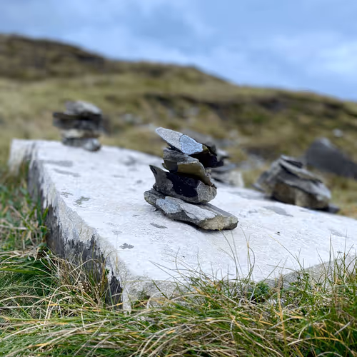 Untitled Collection #57270247