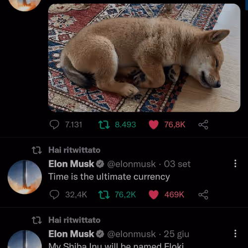 Untitled Collection #35984816