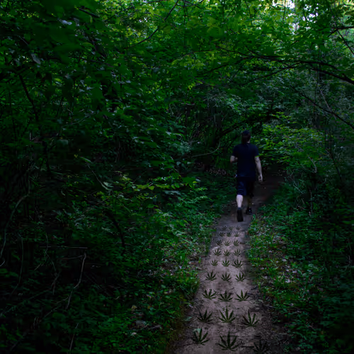 Untitled Collection #93003633