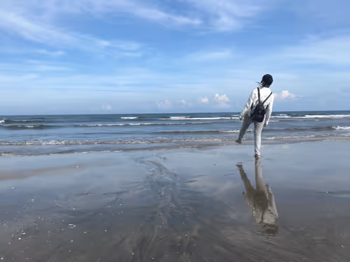 Untitled Collection #75278352