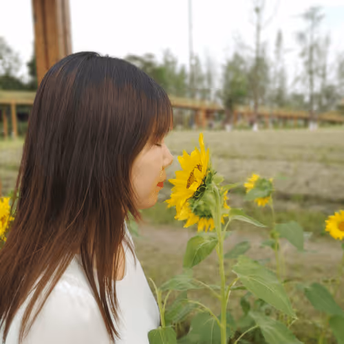 Untitled Collection #183043389