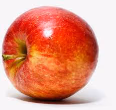 Untitled Collection #81276093