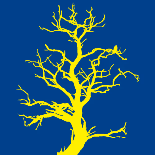 Item #28584310891482146390254294675559111591300807555565075434256981947705221709849 Media