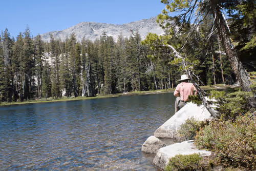 Item #21039072579662627083950365953116691379862102836667231441019030779025525047306 Media