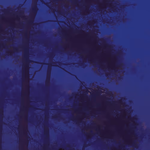 Untitled Collection #88502598