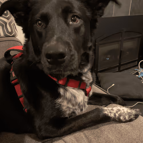 Untitled Collection #69566721