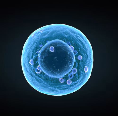 Item #15900858524274065462397165605509062893973264951757804275935713251054311178241 Media