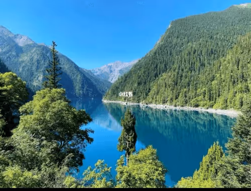 Untitled Collection #284835656