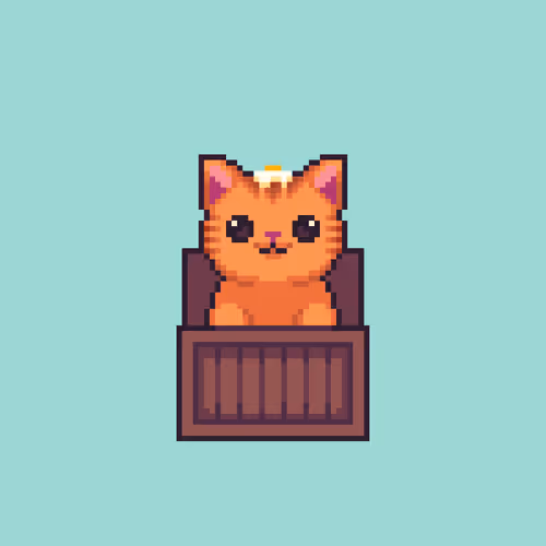 Kitty in Box