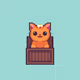 Kitty in Box