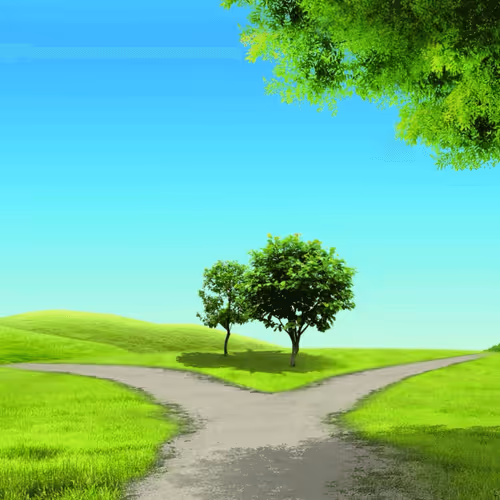 Untitled Collection #283965823