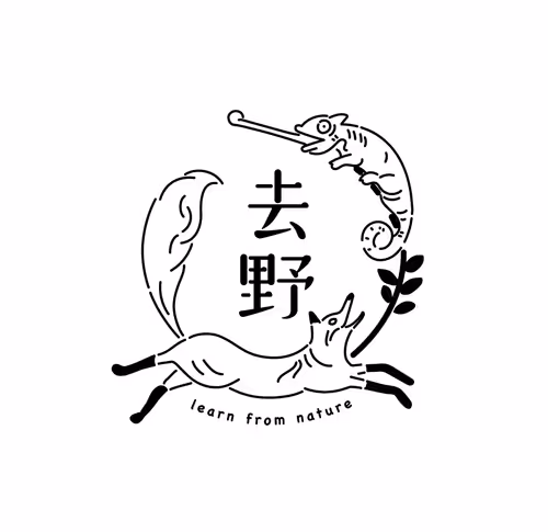 Untitled Collection #71465661