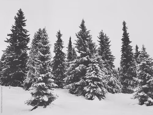 Untitled Collection #76641802