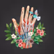 AnatomyLife Hand