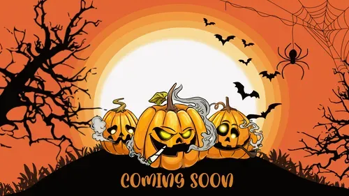 Untitled Collection #28237670