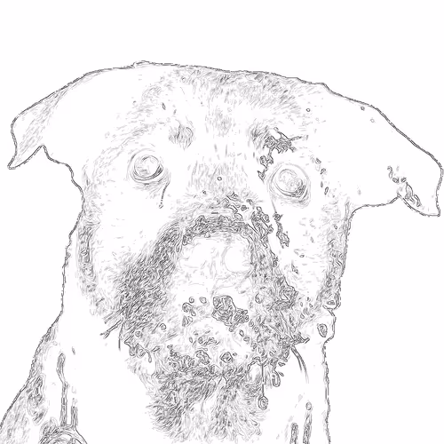 Item #20263366600750275083551787550457323161745504762773807667868667845904644965352 Media