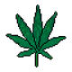 Just Drugs