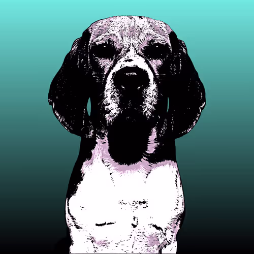 15 shades of dogs