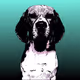 15 shades of dogs
