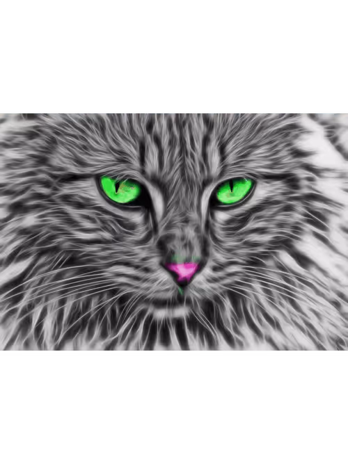 Item #70469049229583053751456040592558374656766630238032944084073234336396511019013 Media