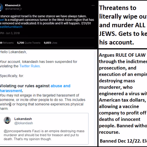 Banned By Elon's Twitter, While Actual Jew Killers Get A Voice