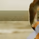 75520262987441086404128333328784053640051261687363994550043562109560332222465