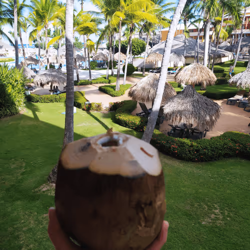 Untitled Collection #31155470