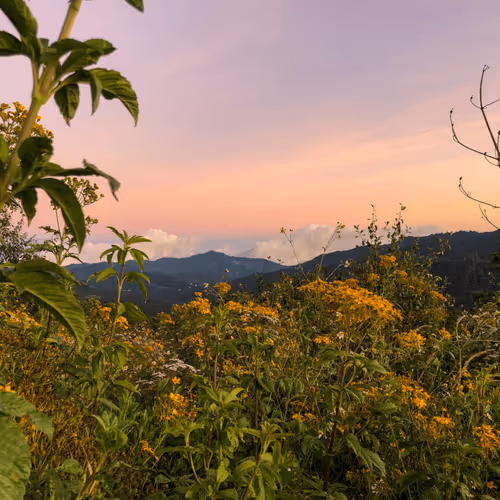 Untitled Collection #190237472