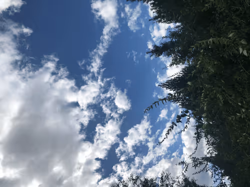 Untitled Collection #80302012