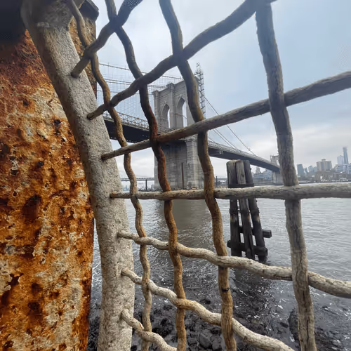 Untitled Collection #60098637