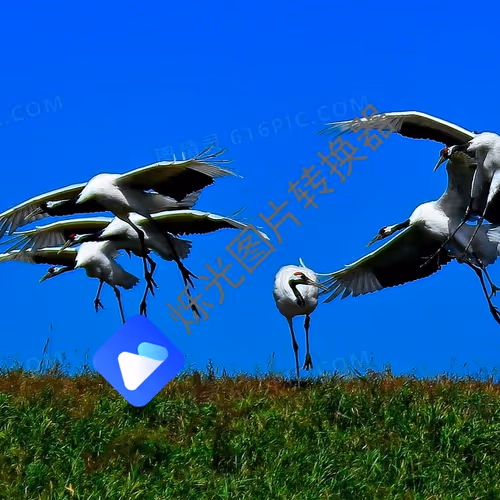 Untitled Collection #445840708