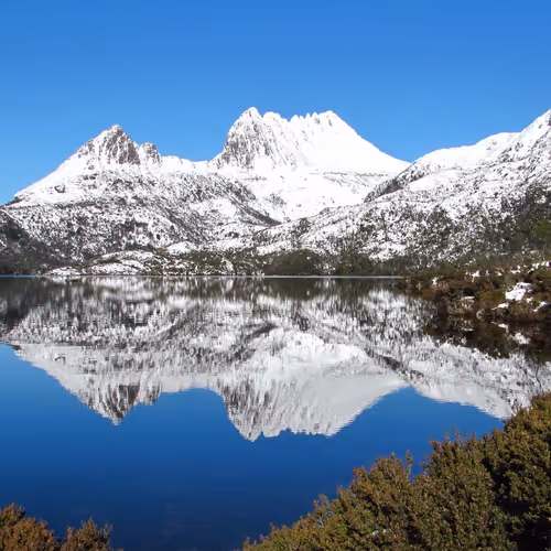 Untitled Collection #27905958